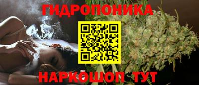 дурь Тара