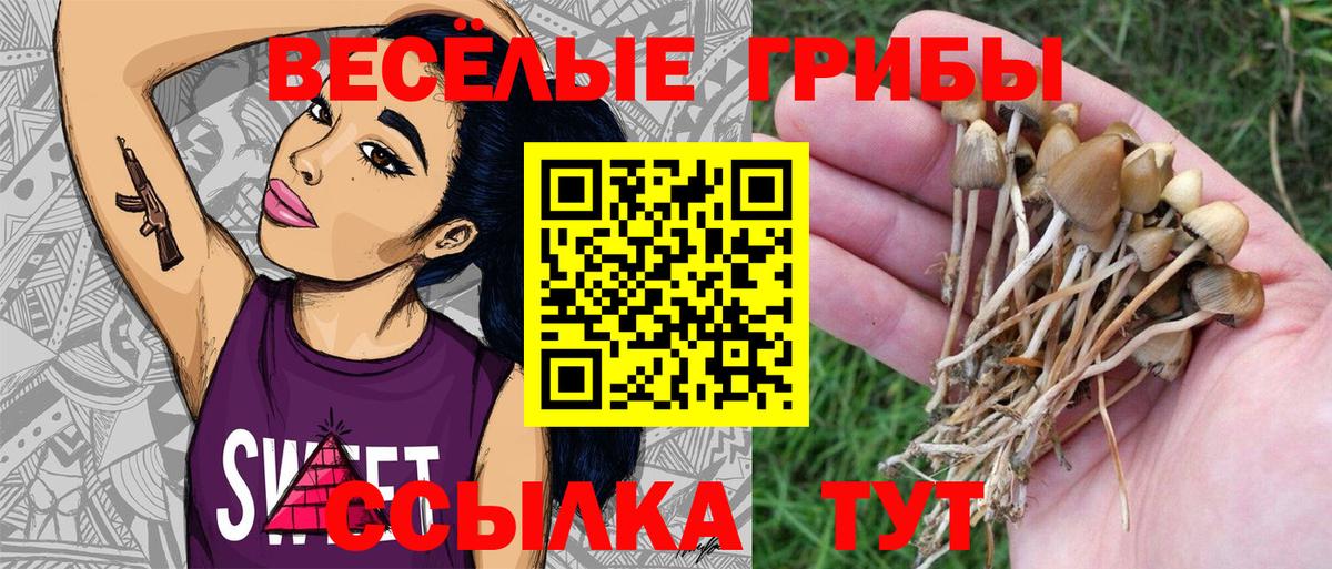 Псилоцибиновые грибы GOLDEN TEACHER  Вход с VPN  Нарткала 